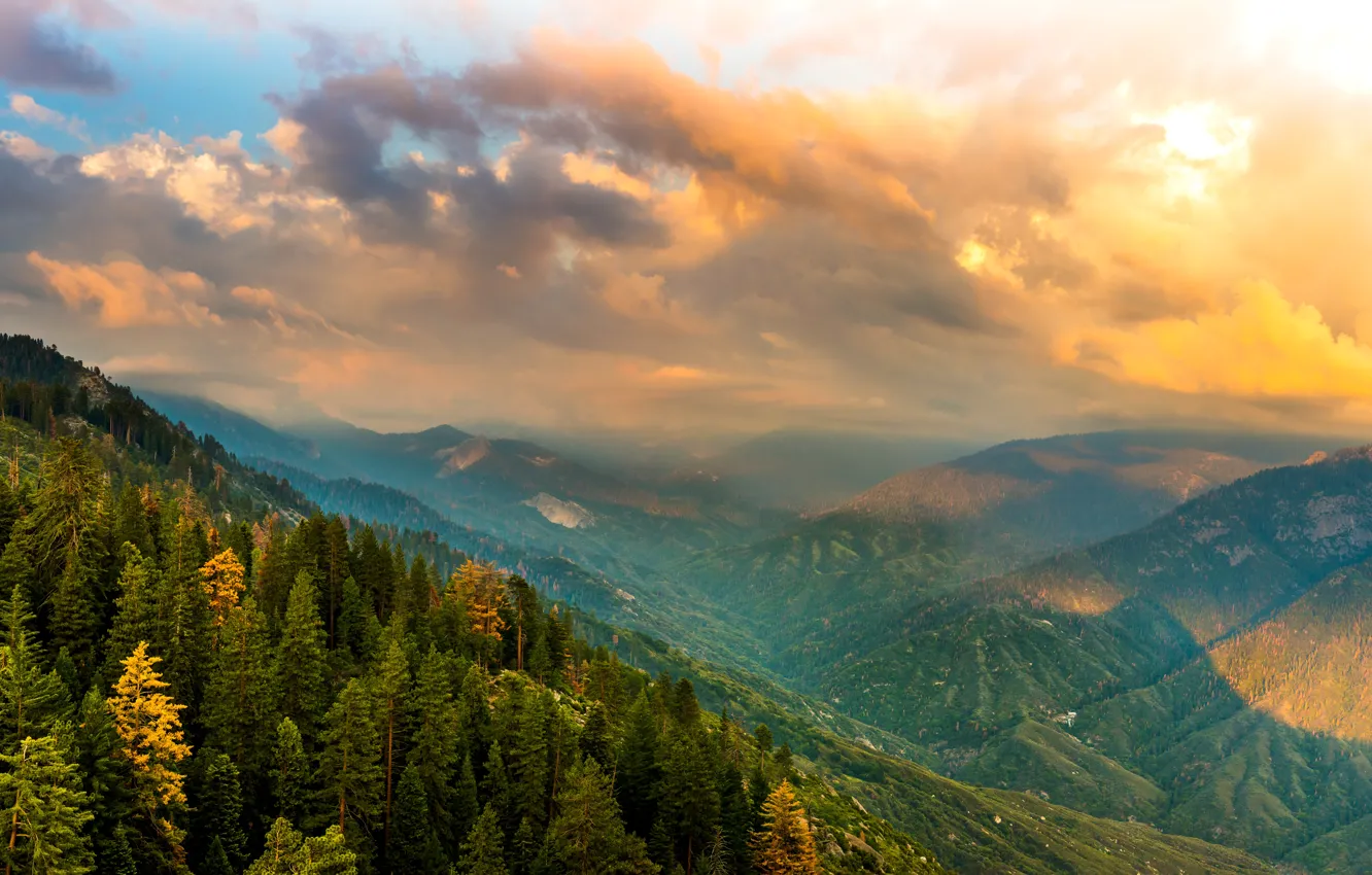 Photo wallpaper forest, clouds, mountains, CA, panorama, USA, Kings Canyon National Park