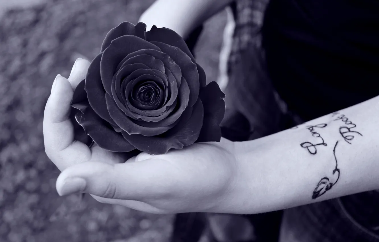 Photo wallpaper girl, rose, hand, tattoo