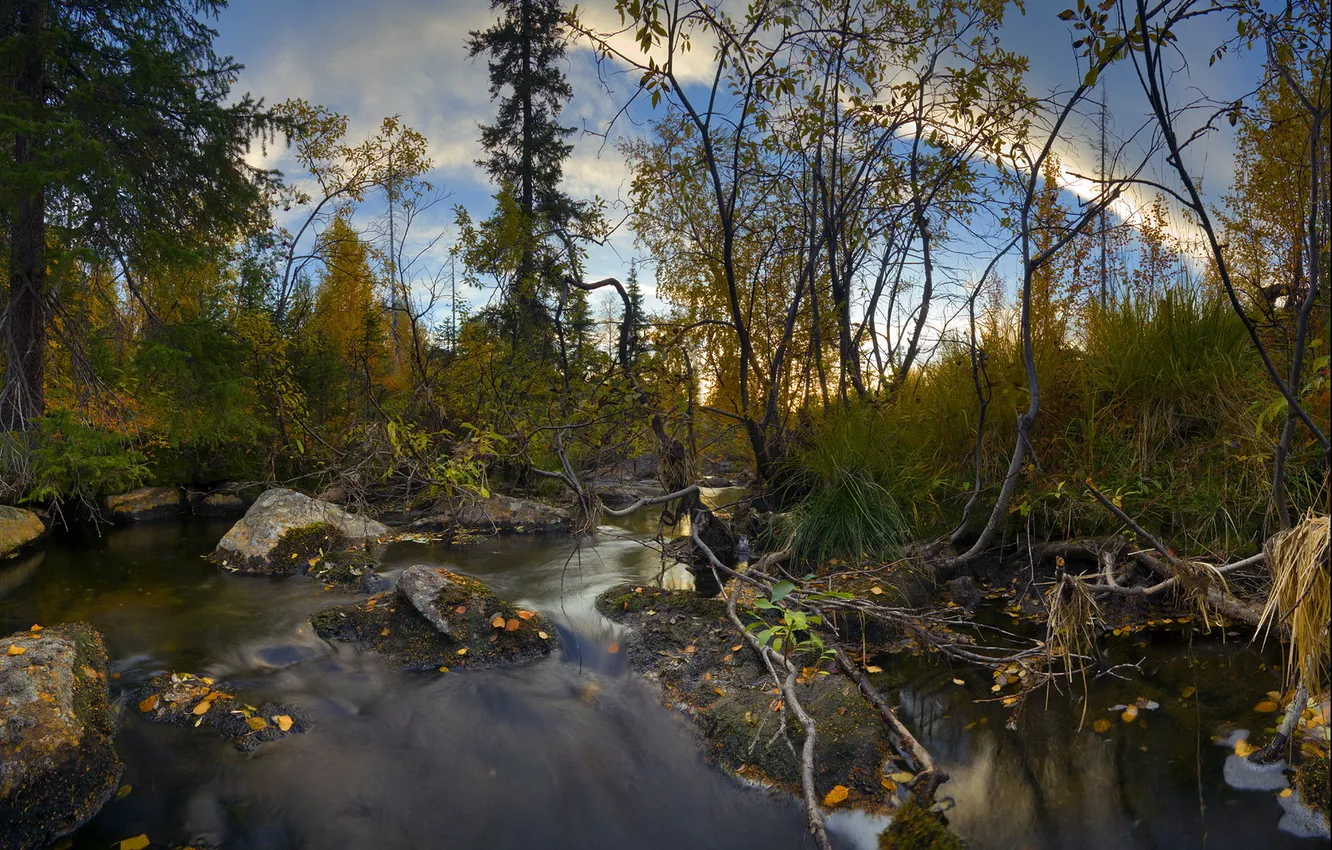 Photo wallpaper autumn, the Arctic, Monchegorsk