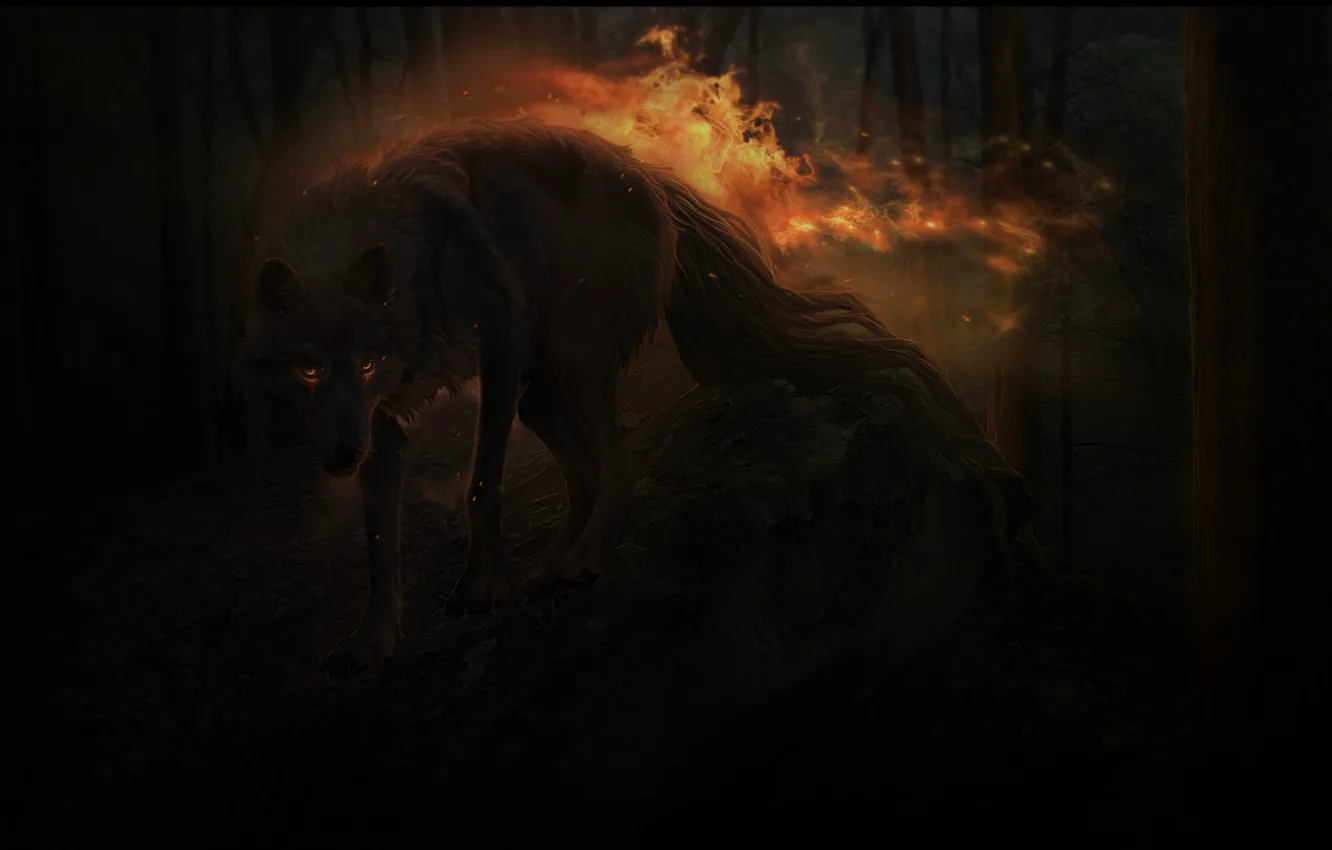 Photo wallpaper forest, night, fire, wolf, by xXNamaste