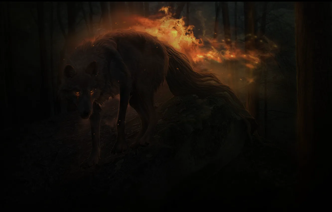 Photo wallpaper forest, night, lights, wolf, by xXNamaste