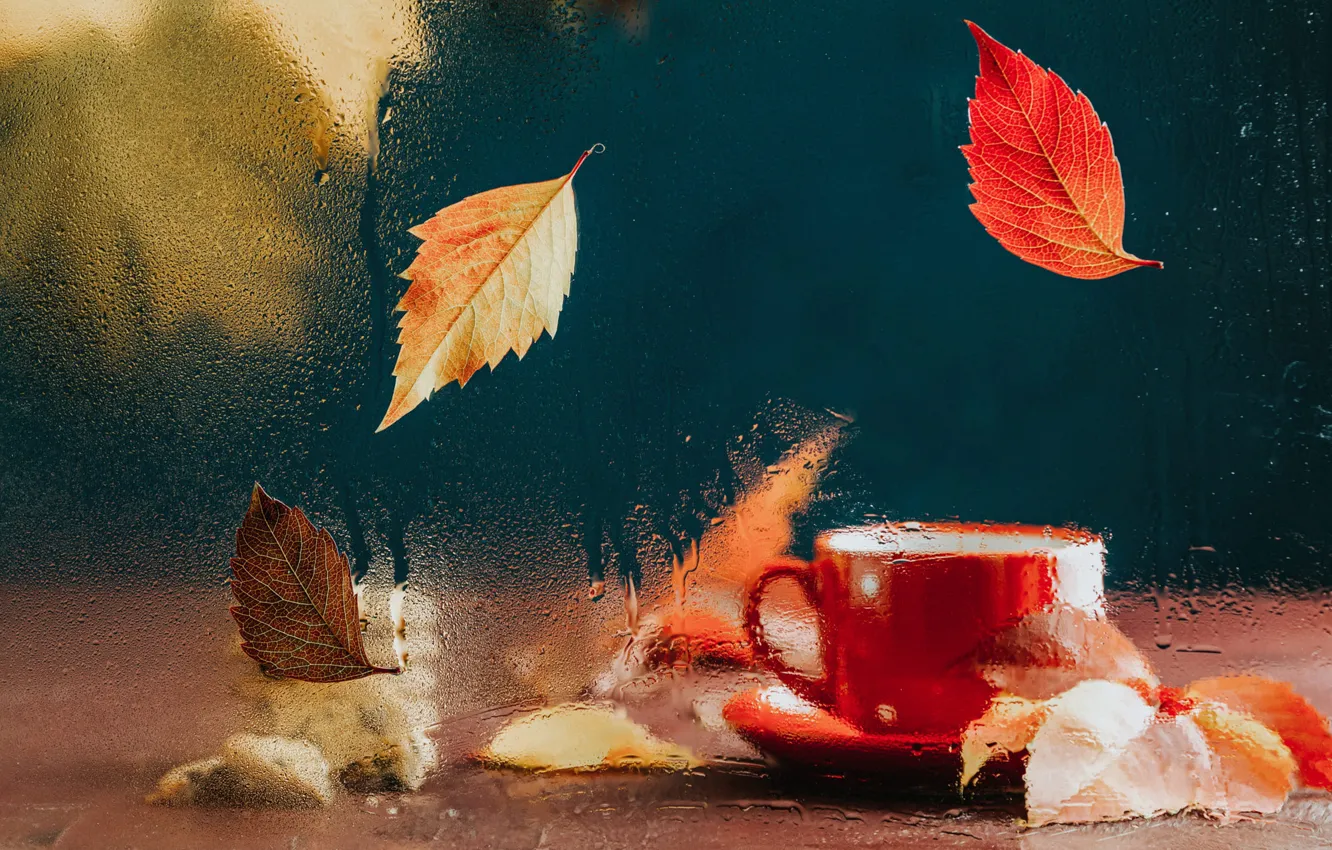 Photo wallpaper autumn, glass, drops, red, table, tea, foliage, Cup