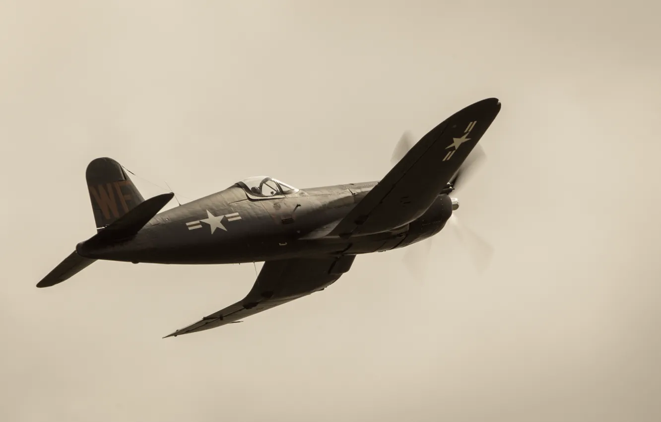 Photo wallpaper flight, fighter, Corsair, F4U, "Le Corsaire"