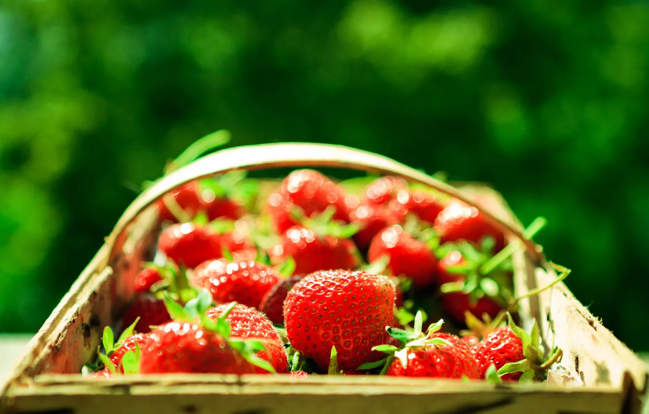 Photo wallpaper greens, macro, red, berries, background, basket, strawberry, basket