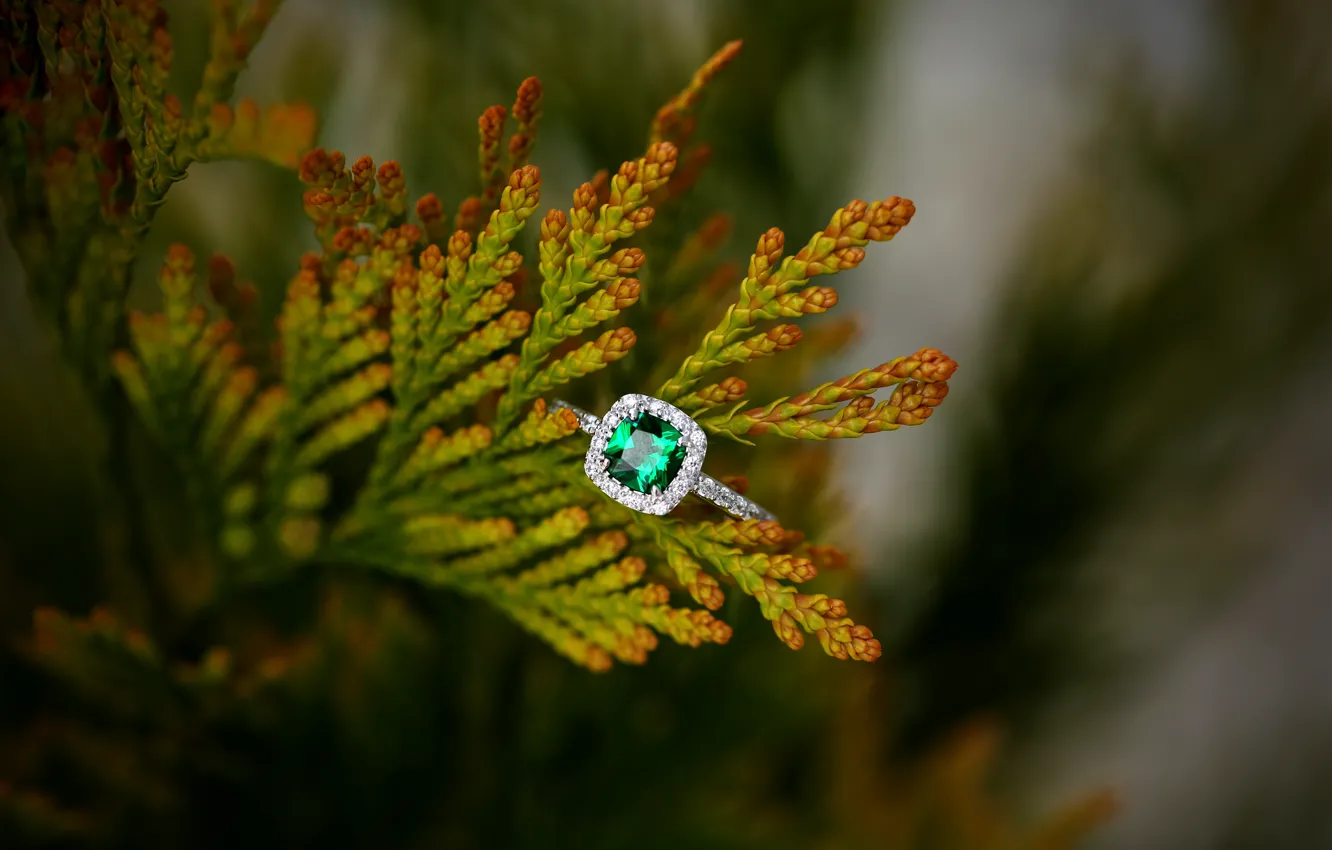 Photo wallpaper stone, branch, ring, decoration, emerald