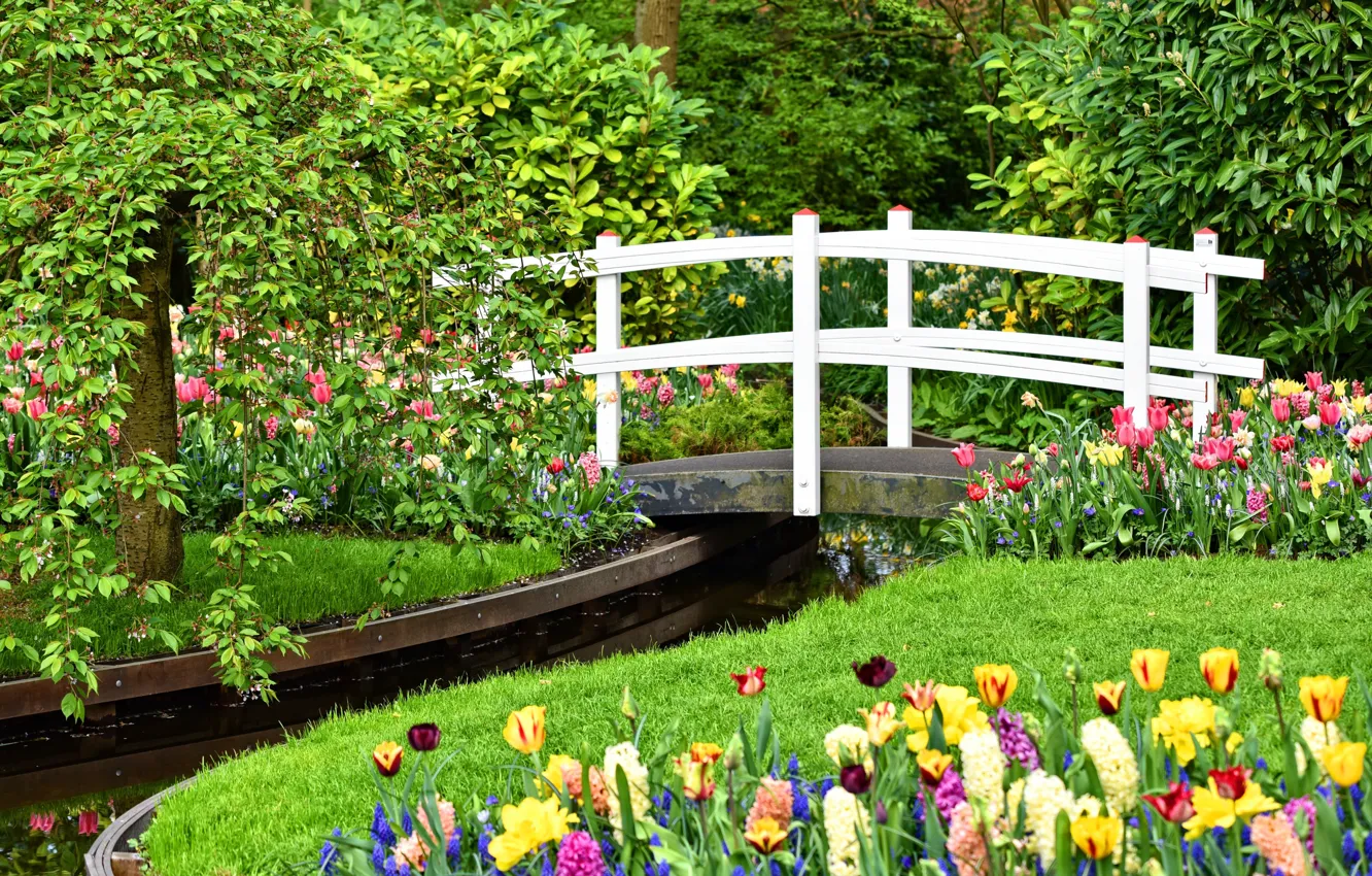 Photo wallpaper flowers, Park, stream, garden, the bridge