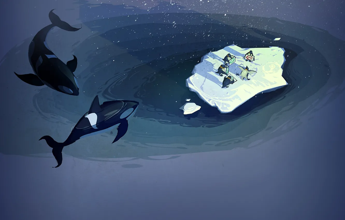 Photo wallpaper the ocean, penguins, ice, steam, orca