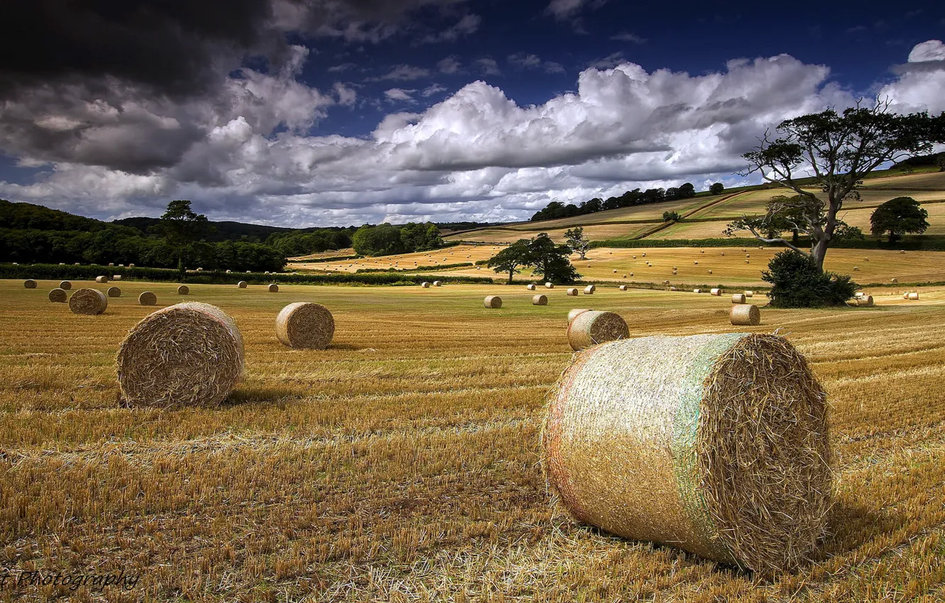 Photo wallpaper field, summer, landscape, hay