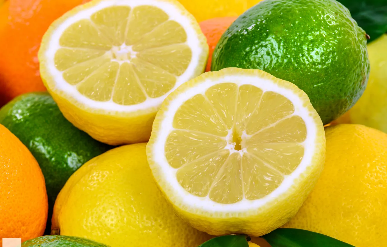 Photo wallpaper lemon, orange, lime, citrus