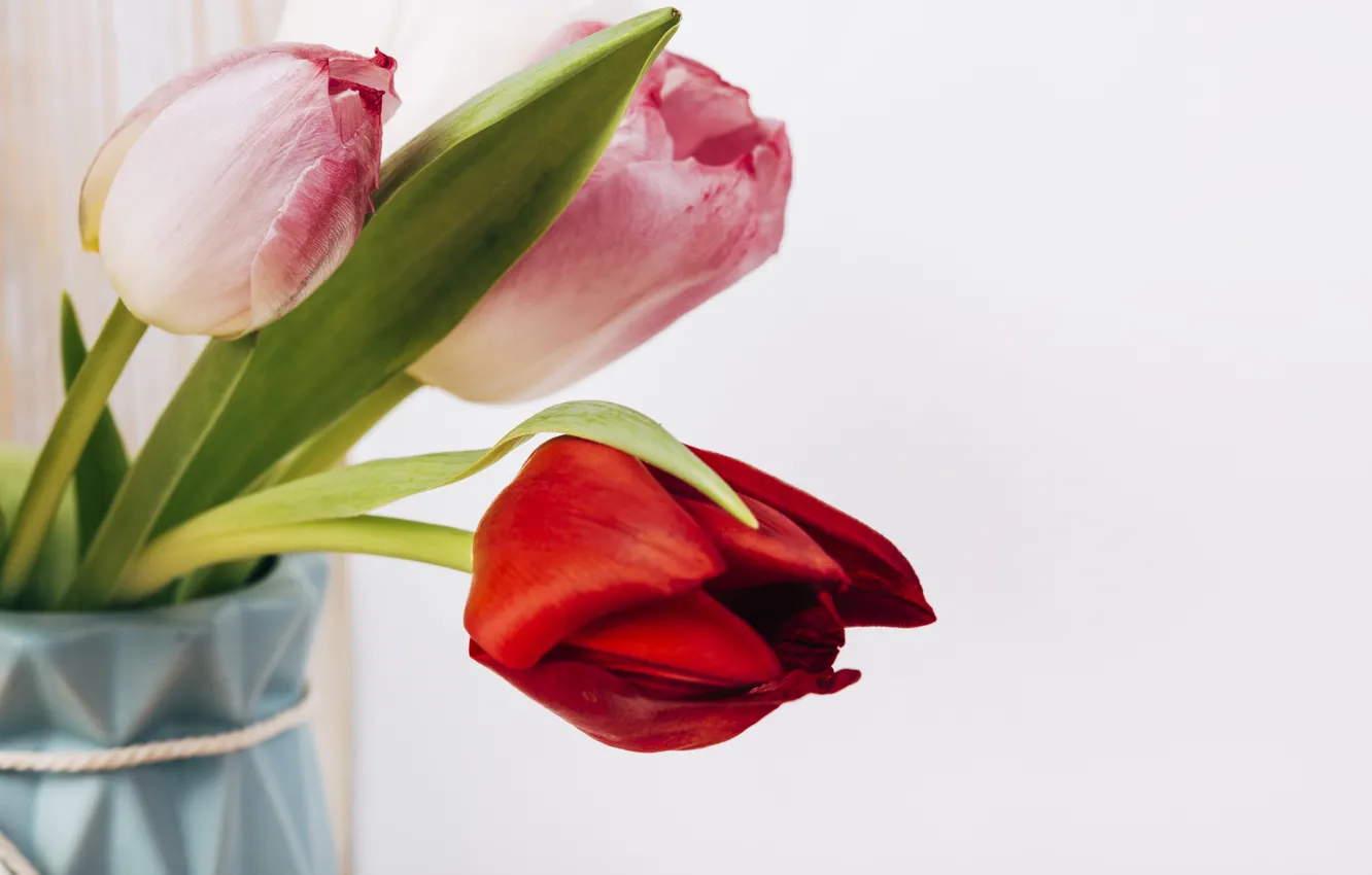 Photo wallpaper flowers, red, bouquet, spring, tulips, vase, pink, trio