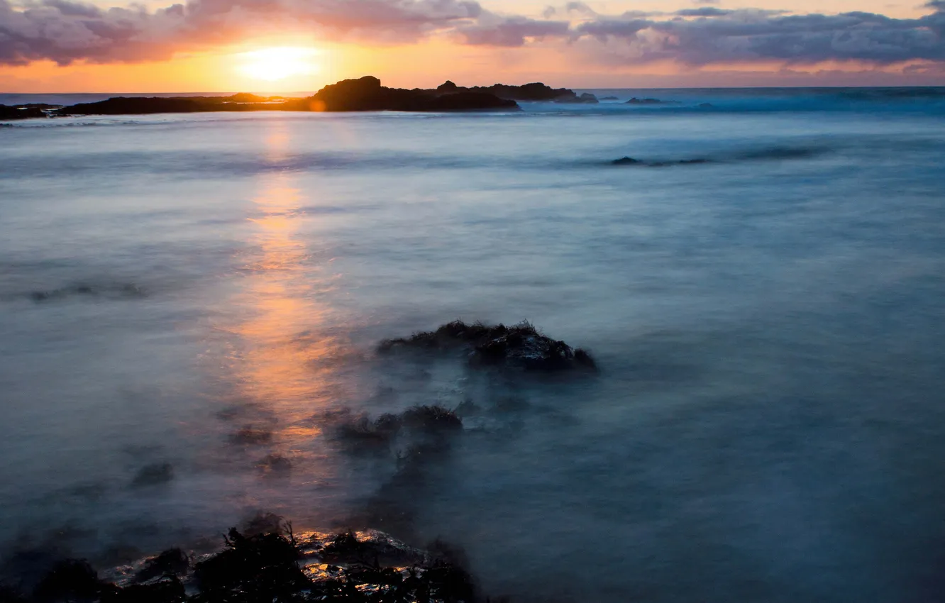 Photo wallpaper sea, the sun, Islands, clouds, algae, dawn