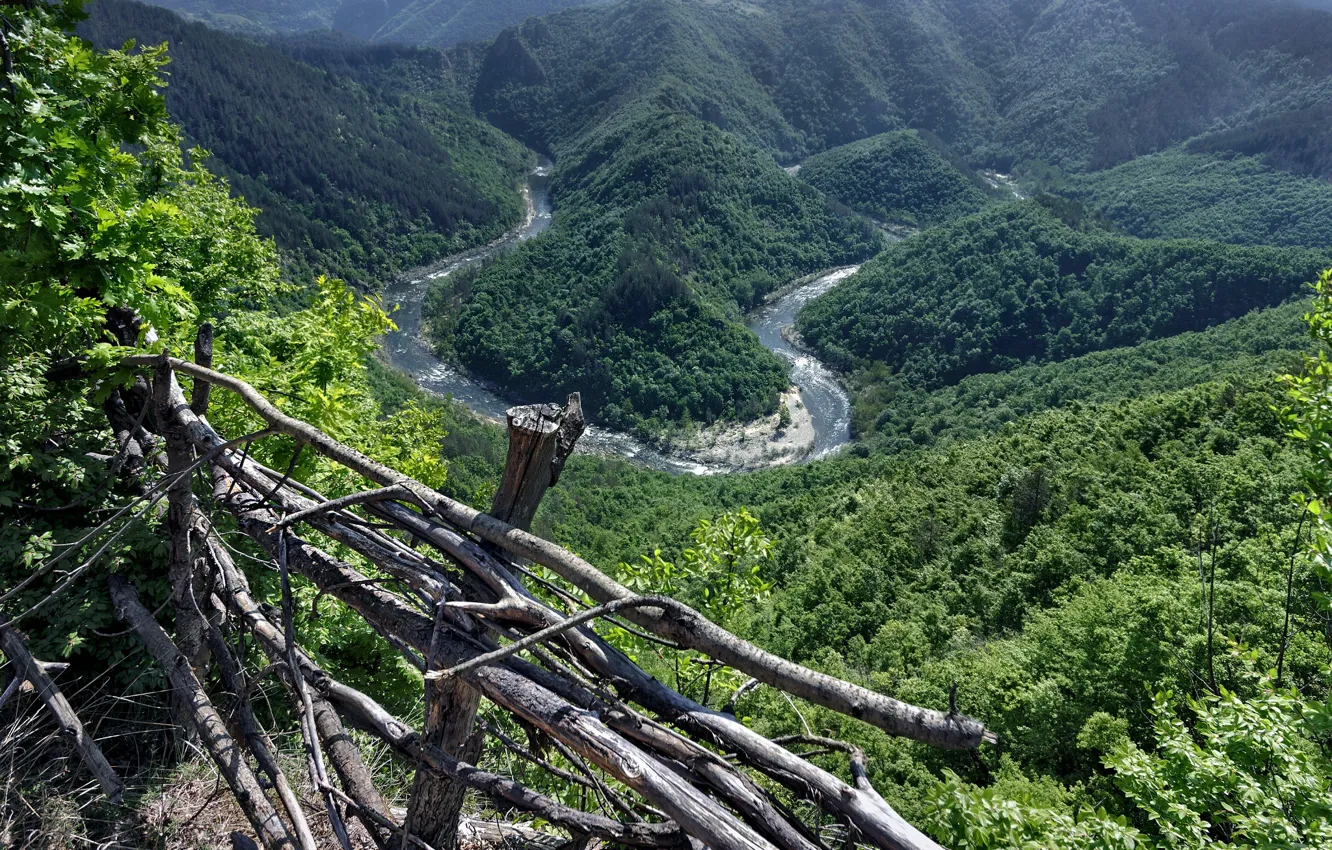 Photo wallpaper greens, trees, mountains, fence, space, space, trees, mountains