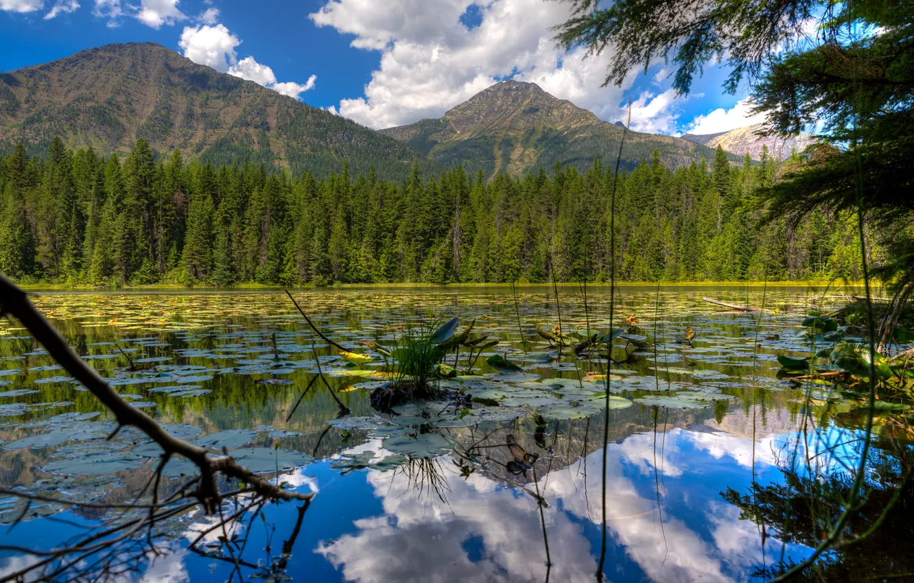 Photo wallpaper forest, the sky, clouds, trees, mountains, lake, USA, Glacier National Park