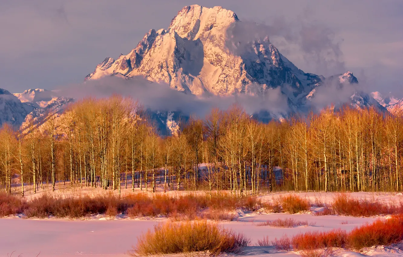 Photo wallpaper autumn, trees, mountains
