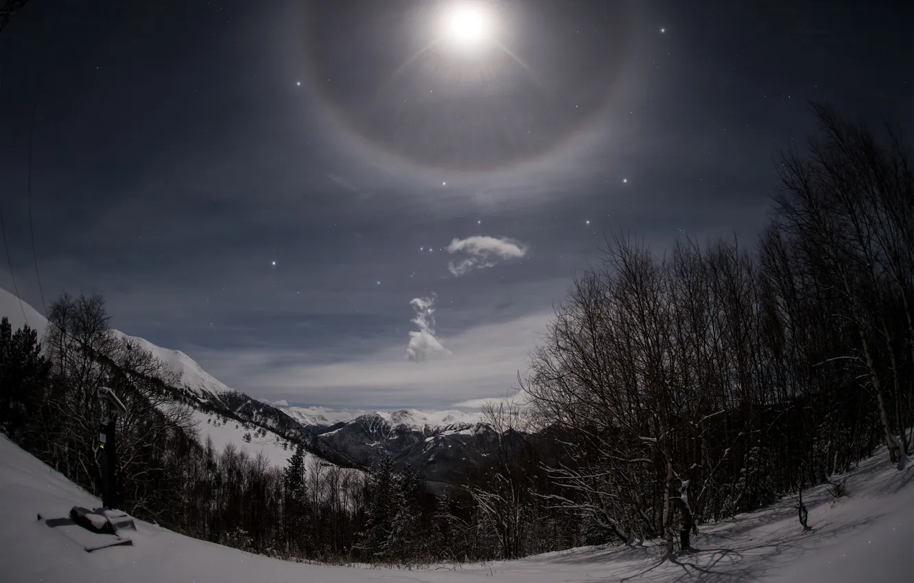 Photo wallpaper winter, trees, night, the moon, Halo, Kudashkina Ksenia, Moon Halo
