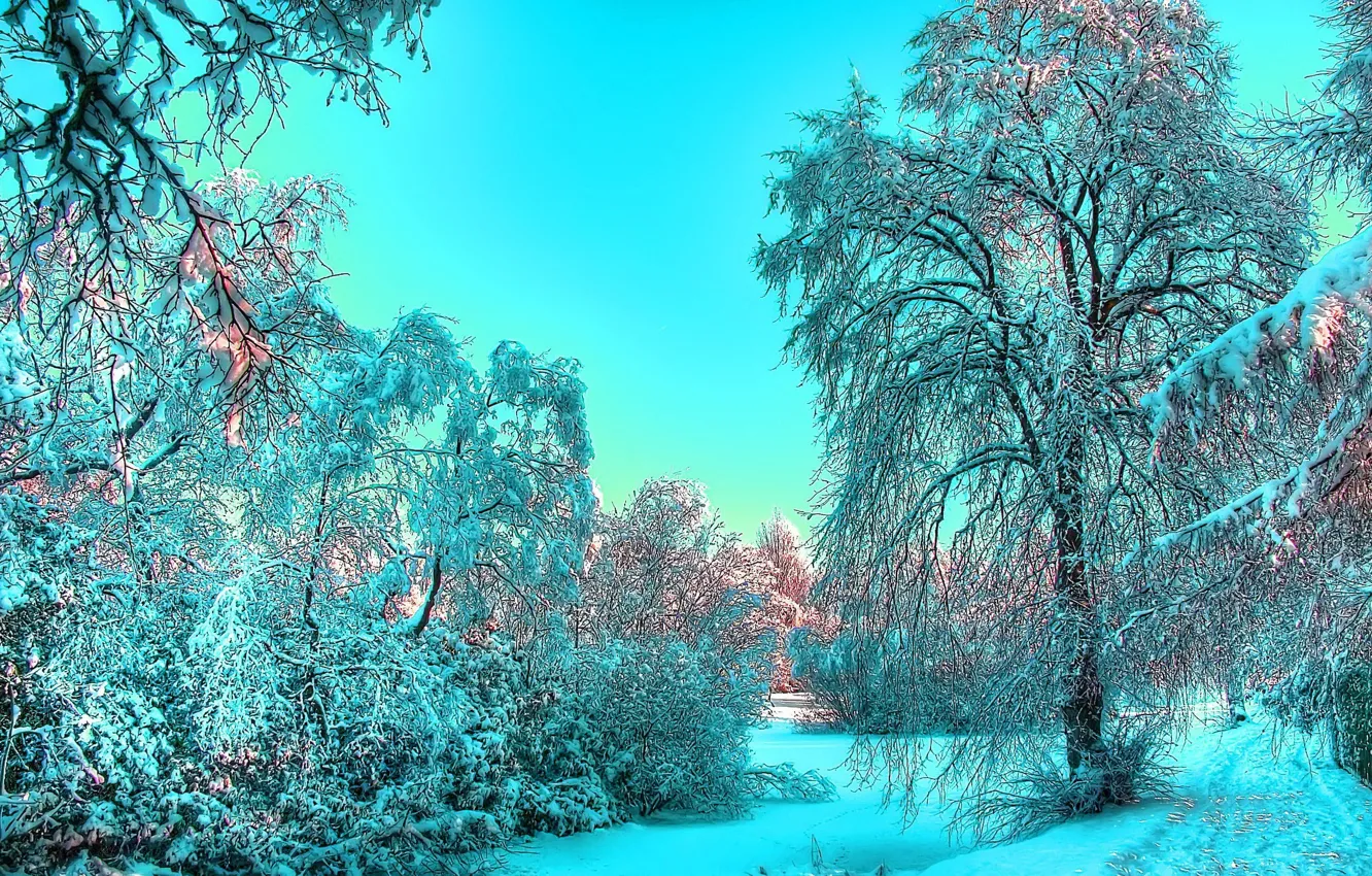 Photo wallpaper winter, the sky, snow, landscape, morning, frost