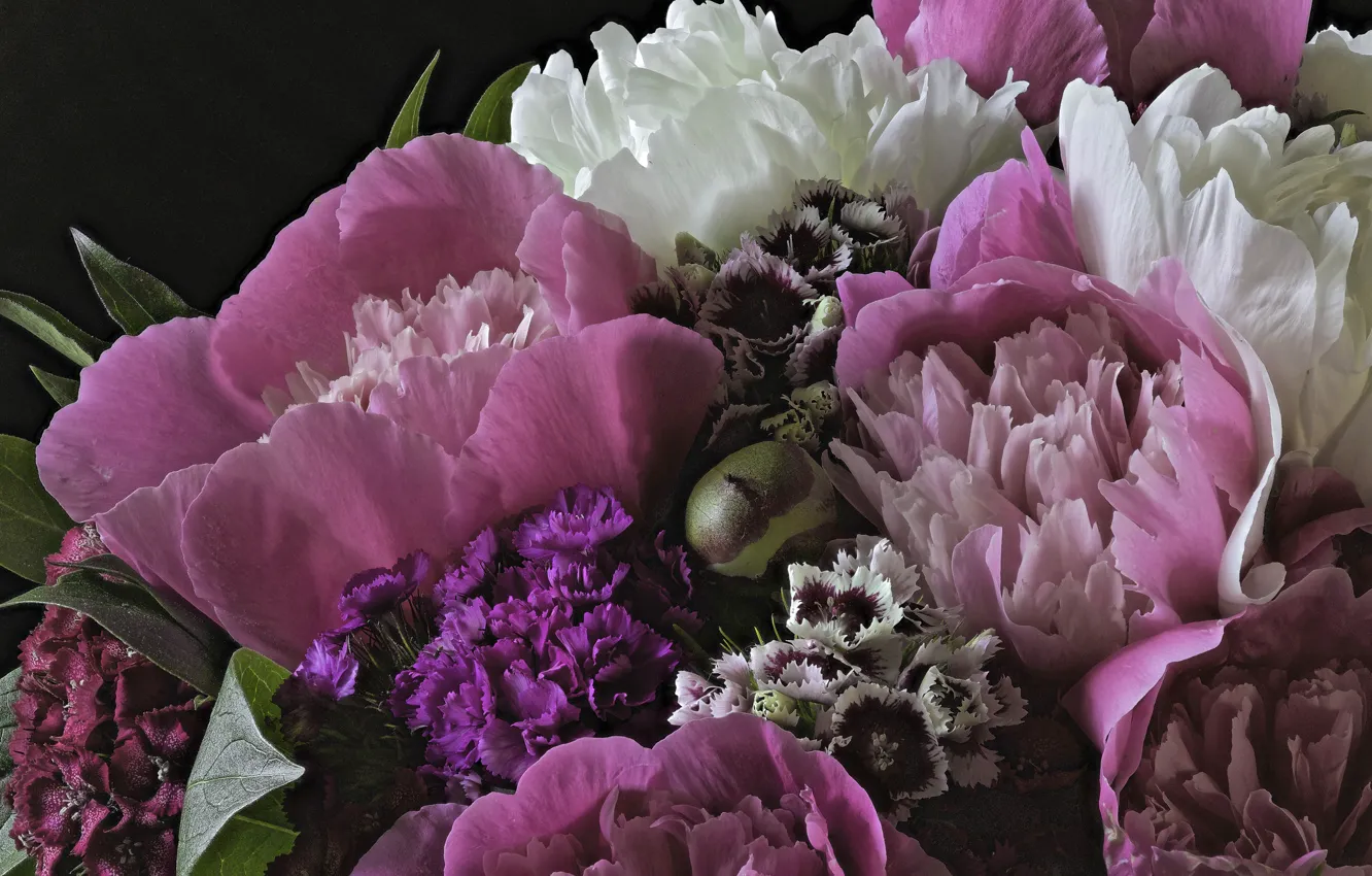 Photo wallpaper macro, bouquet, peonies