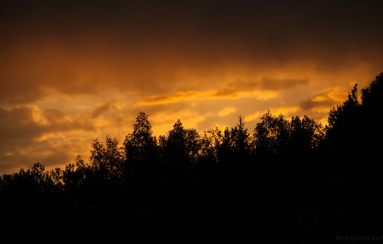 Photo wallpaper forest, the sun, landscape, sunset, nature, insta:kportfolio
