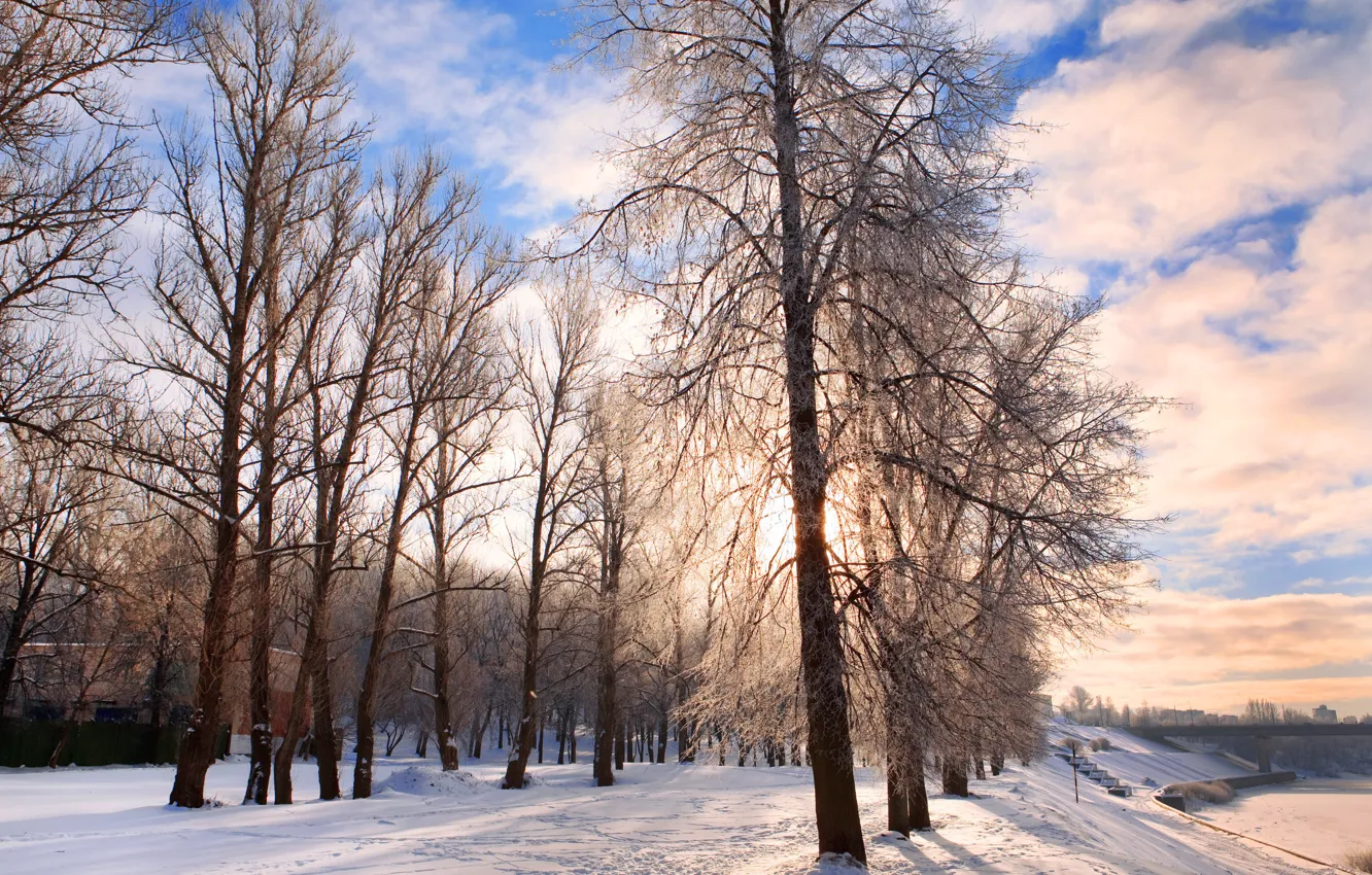 Photo wallpaper winter, snow, trees, nature, Park