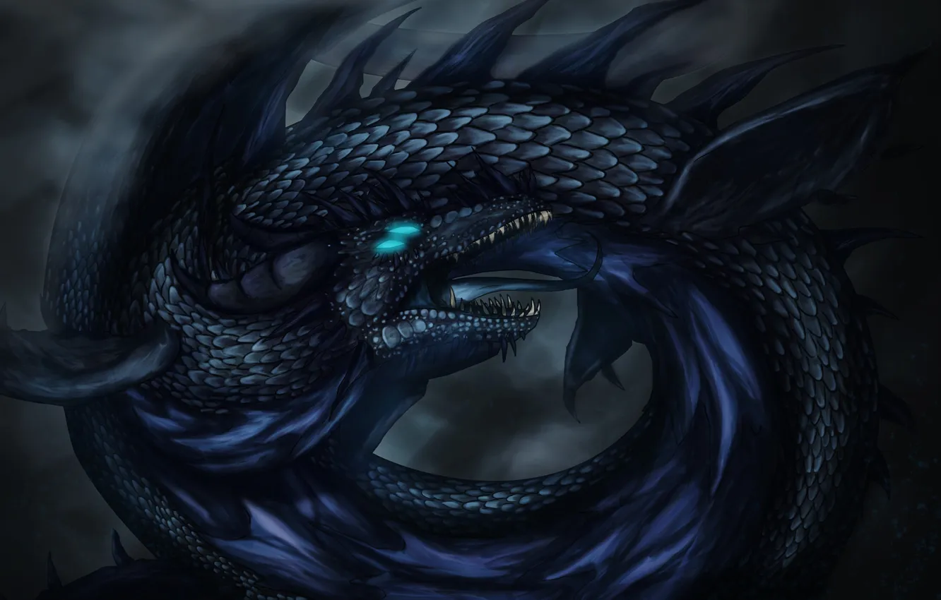 Photo wallpaper black, dragon, ring, art, mouth, tail