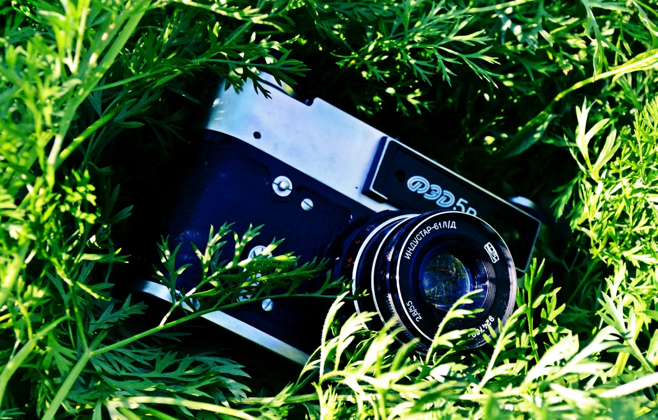 Photo wallpaper greens, grass, the camera, lens