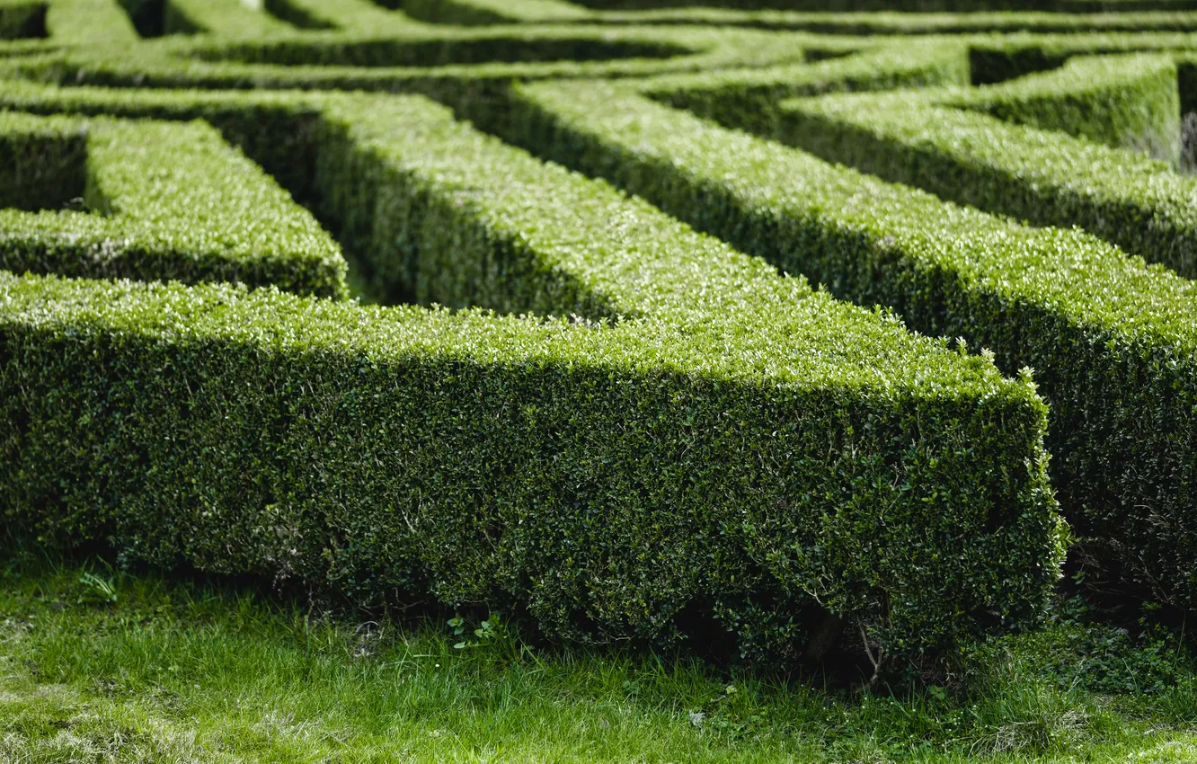 Photo wallpaper art, Gardening, neatness