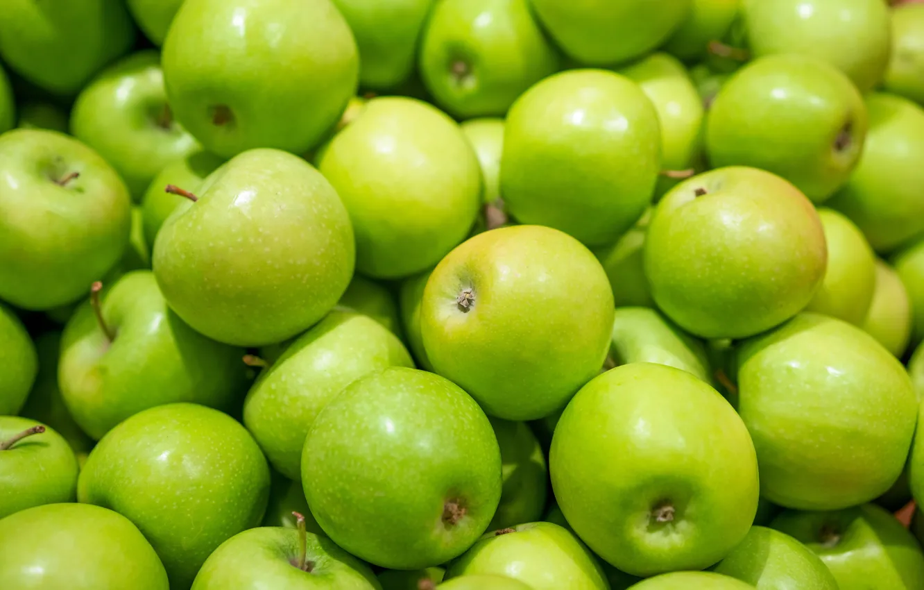 Photo wallpaper green, apples, harvest, fruit, a lot