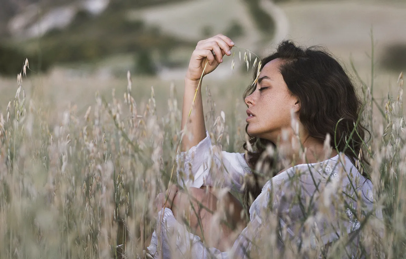 Photo wallpaper spikelets, bokeh, Marian, Tania Cerviаn