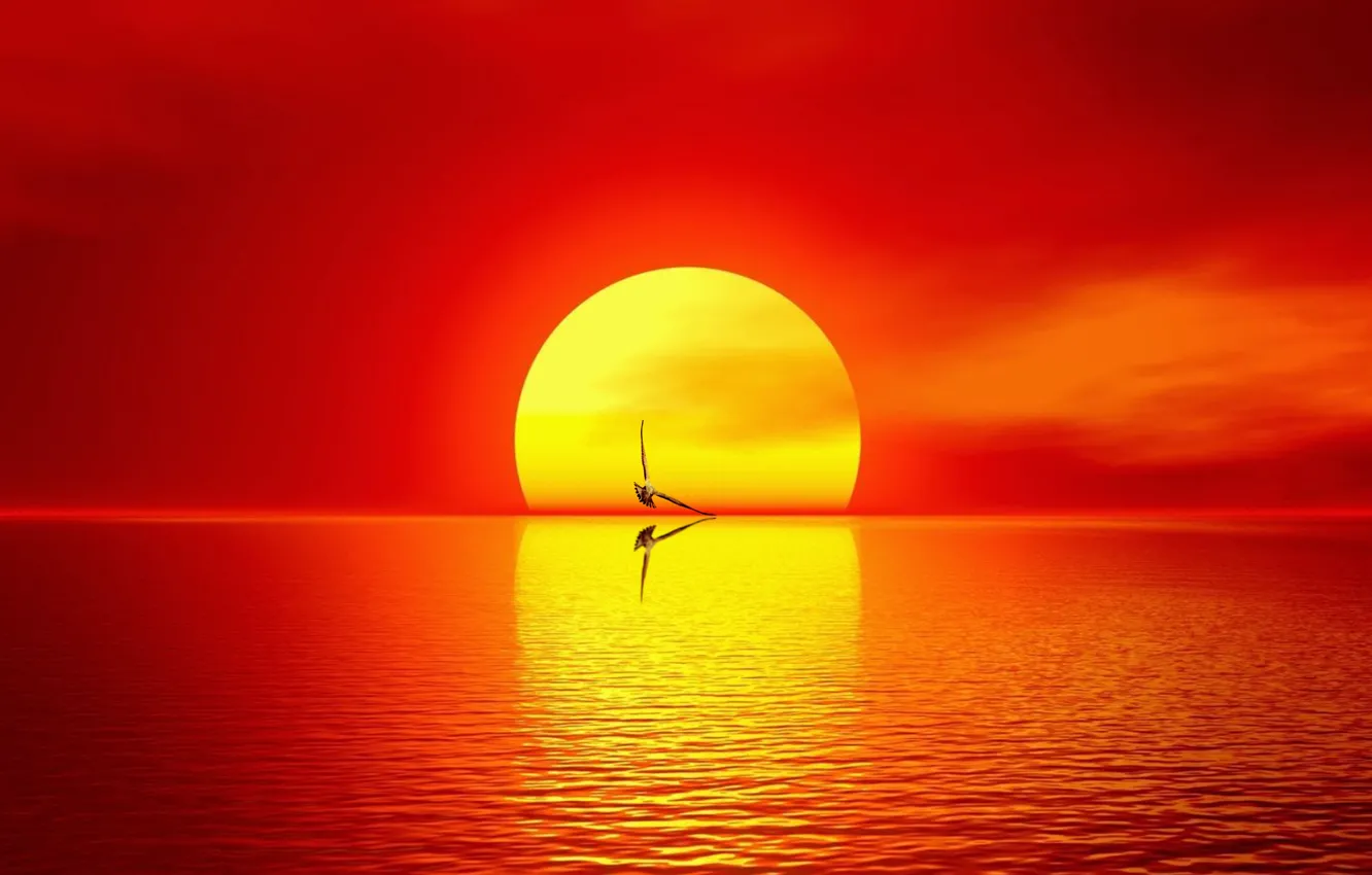 Photo wallpaper sea, sun, seaside, rising sun