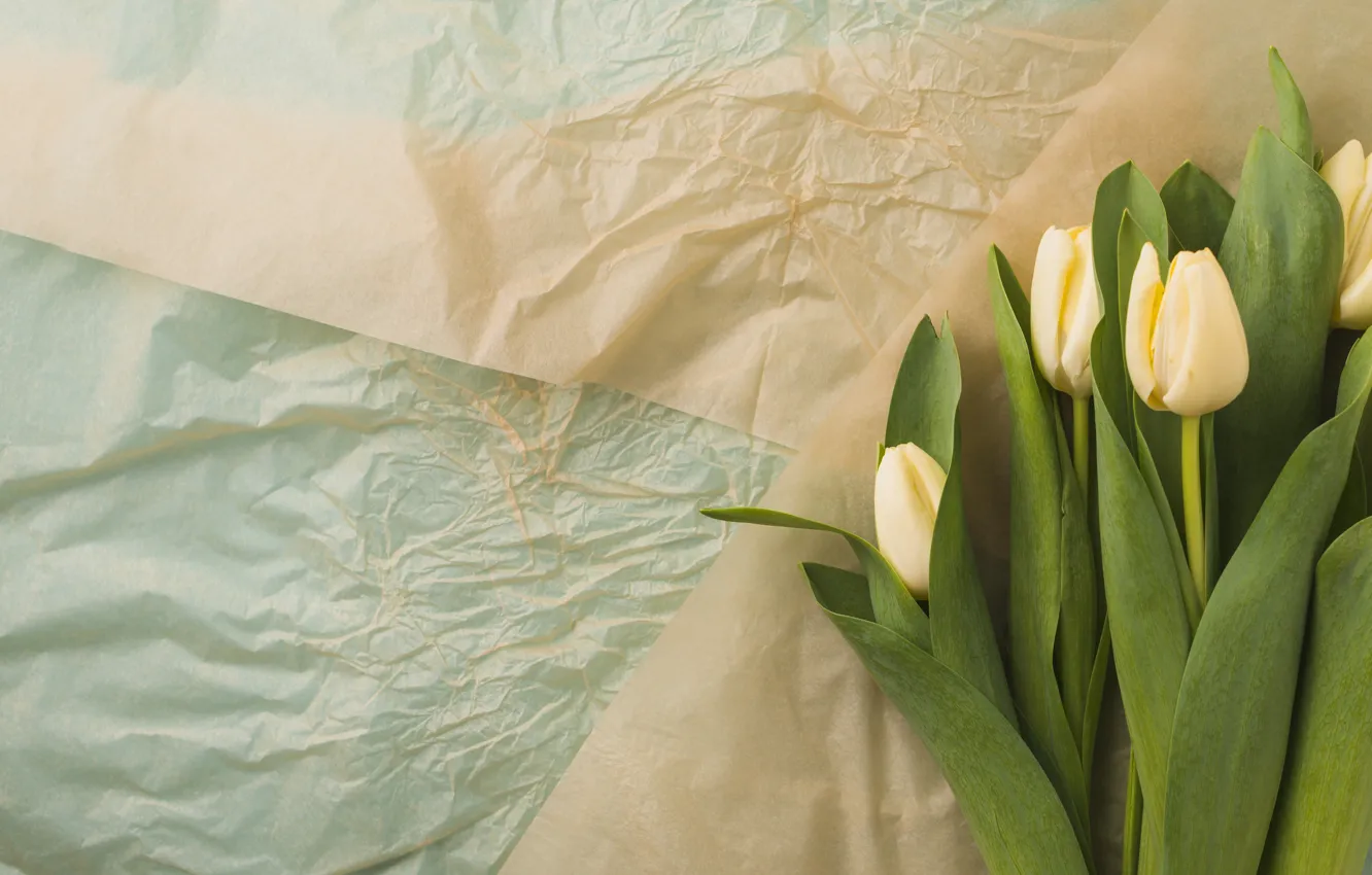 Photo wallpaper flowers, bouquet, tulips, flower, yellow, tulips, paper