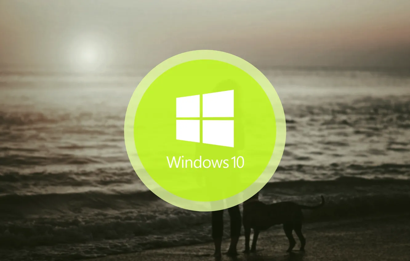 Photo wallpaper windows, logo, Windows 10