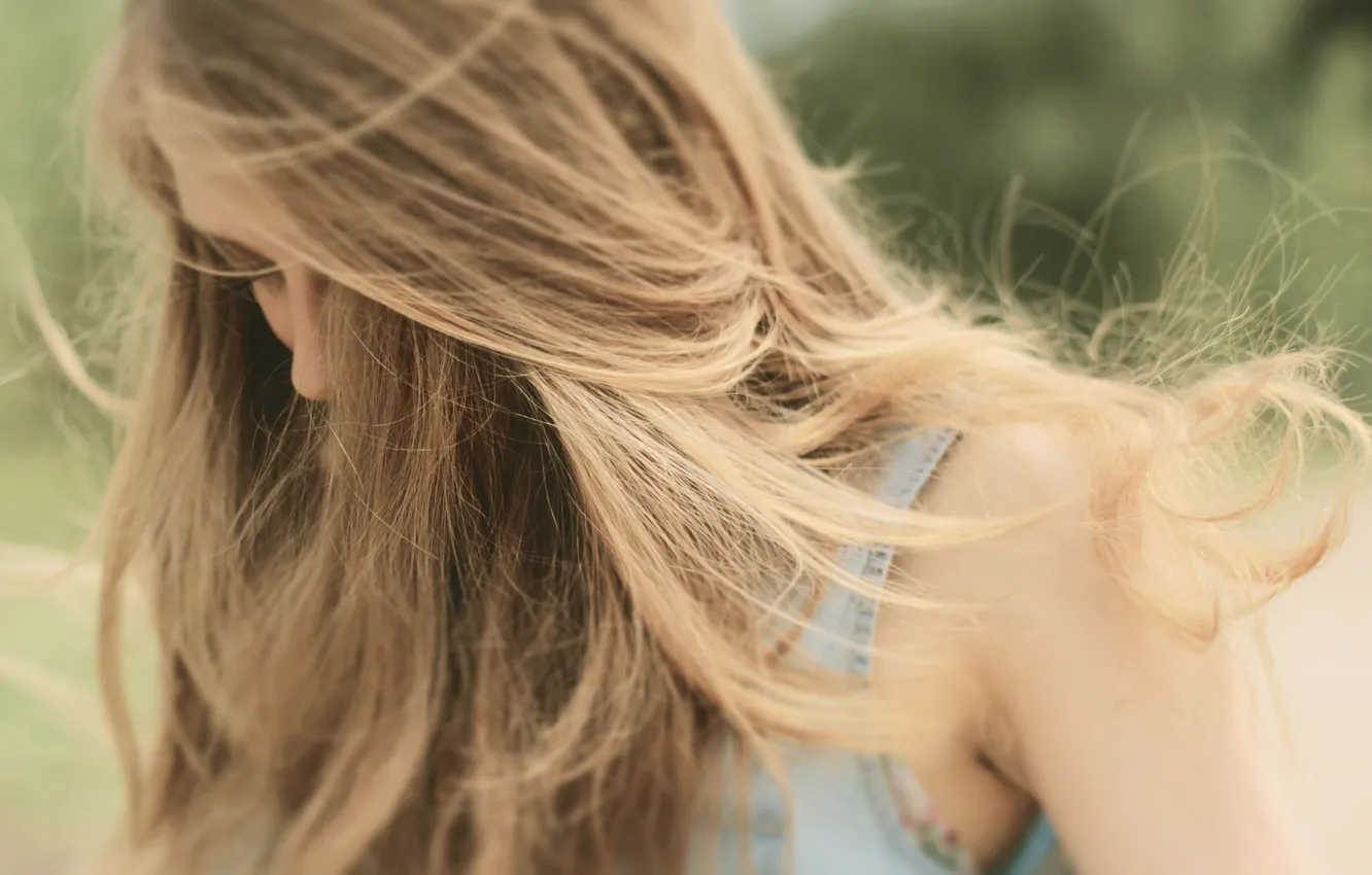 Photo wallpaper girl, the wind, hair