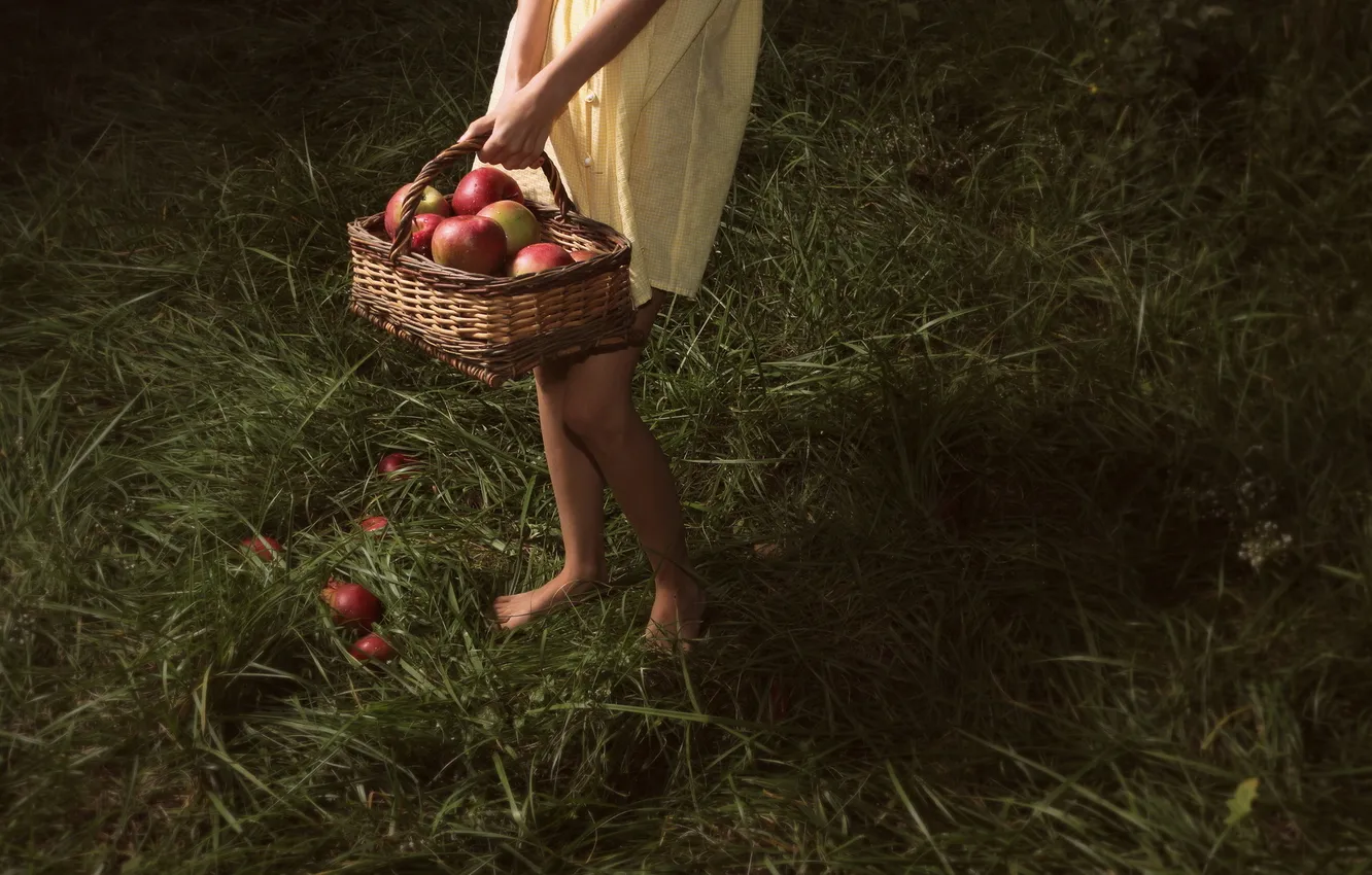 Photo wallpaper apples, girl, basket