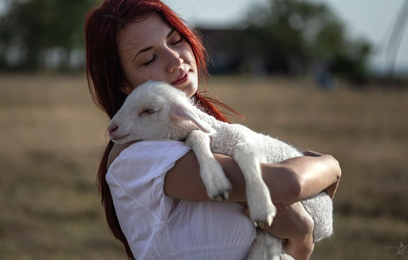 Photo wallpaper girl, mood, lamb, Goran Dobozhanov