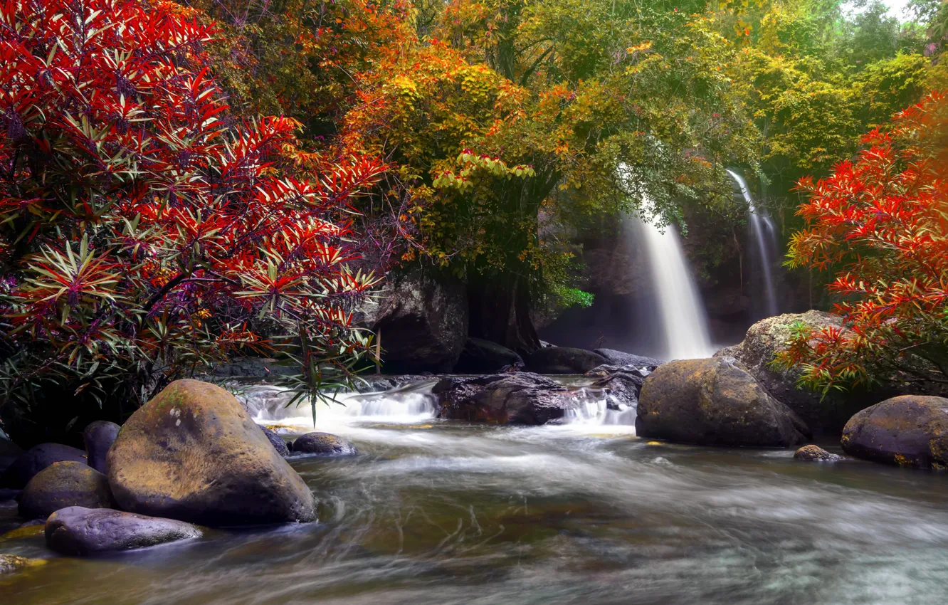 Photo wallpaper autumn, forest, water, trees, nature, river, waterfall, forest