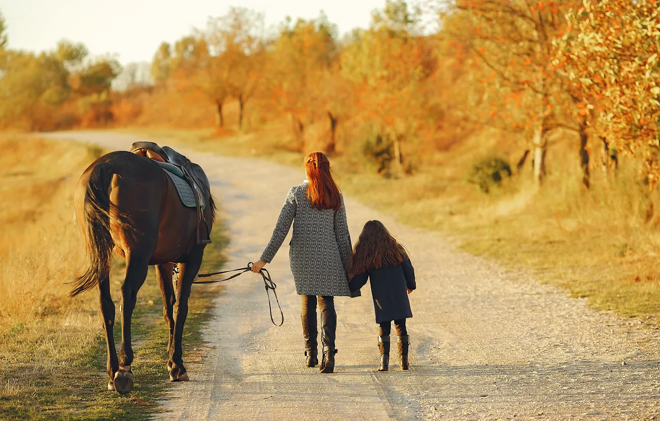 Photo wallpaper road, autumn, forest, girl, Park, each, horse, woman