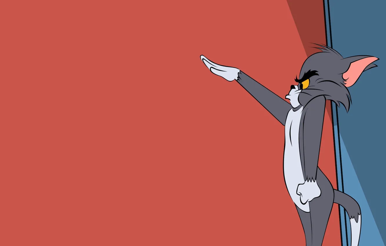 Photo wallpaper cat, cartoon, cat, Tom, Tom and Jerry, Tom, Tom and Jerry, ridge
