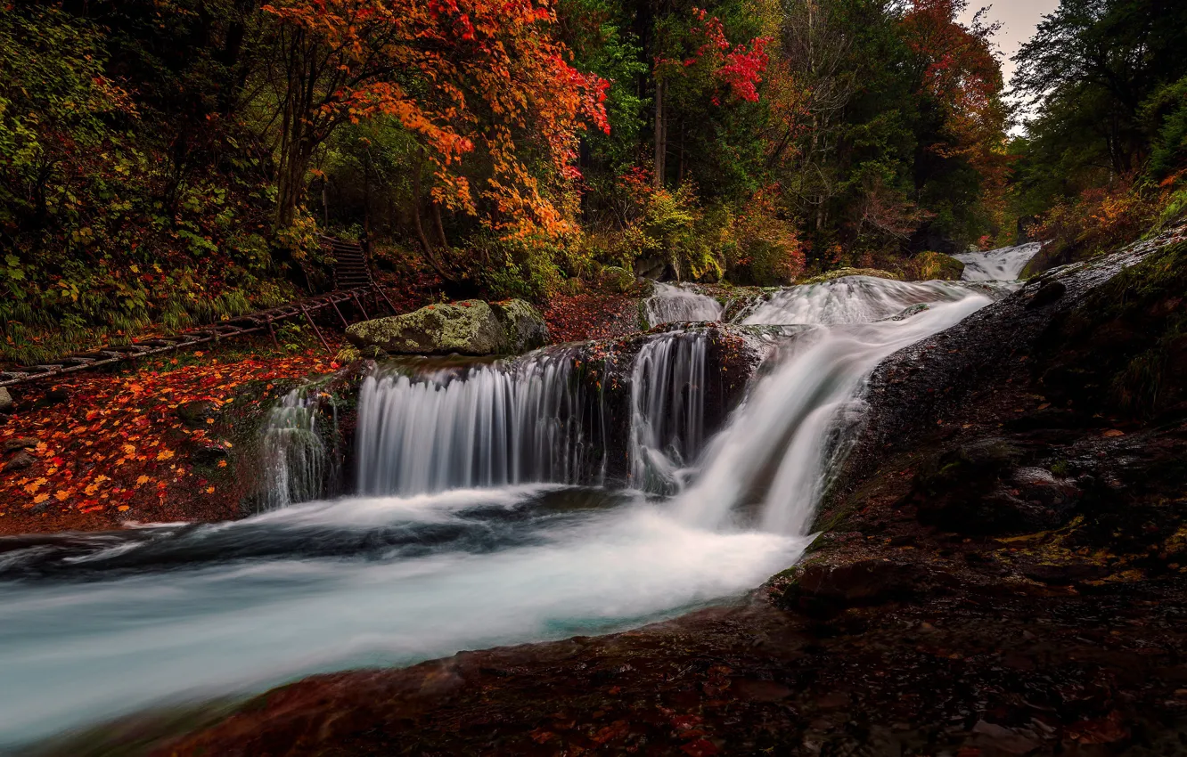 Photo wallpaper stones, waterfall, leaves, falling leaves, autumn, forest