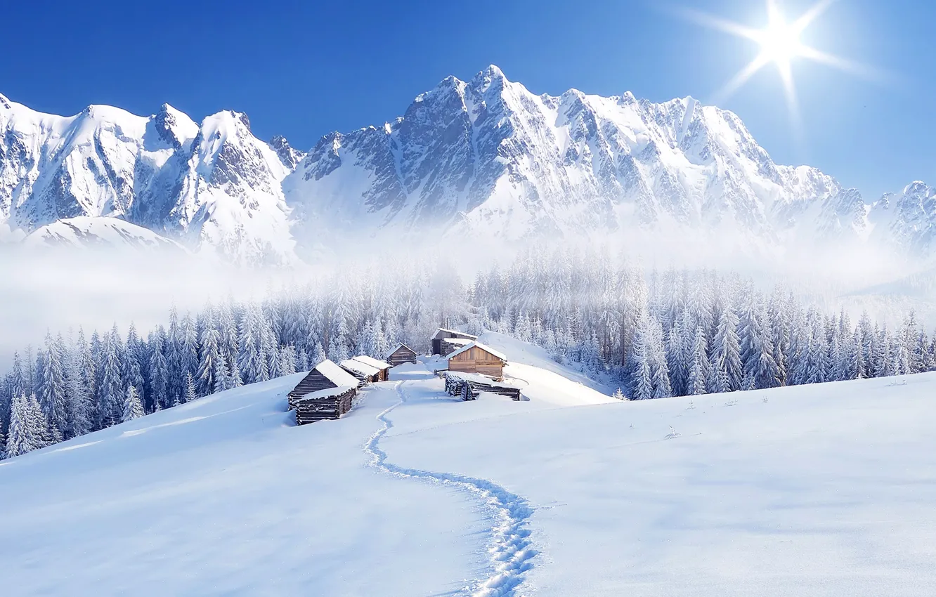 Photo wallpaper winter, forest, the sky, the sun, snow, trees, mountains, fog