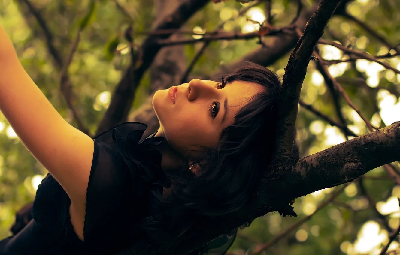 Photo wallpaper look, leaves, girl, trees, branches, photo, dress, brunette