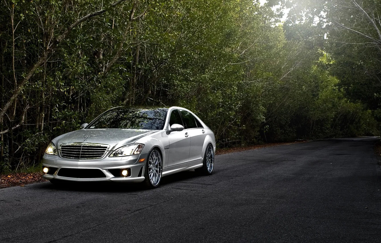 Photo wallpaper road, forest, trees, tuning, Mercedes-Benz, silver, Mercedes, AMG