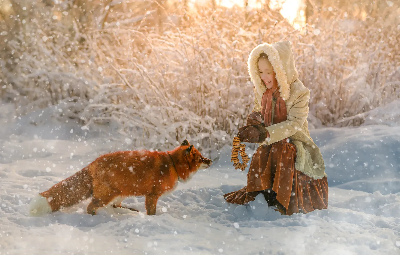 Photo wallpaper snow, joy, meeting, Fox, snowfall, winter day, The girl and the fox, Meeting outside the …