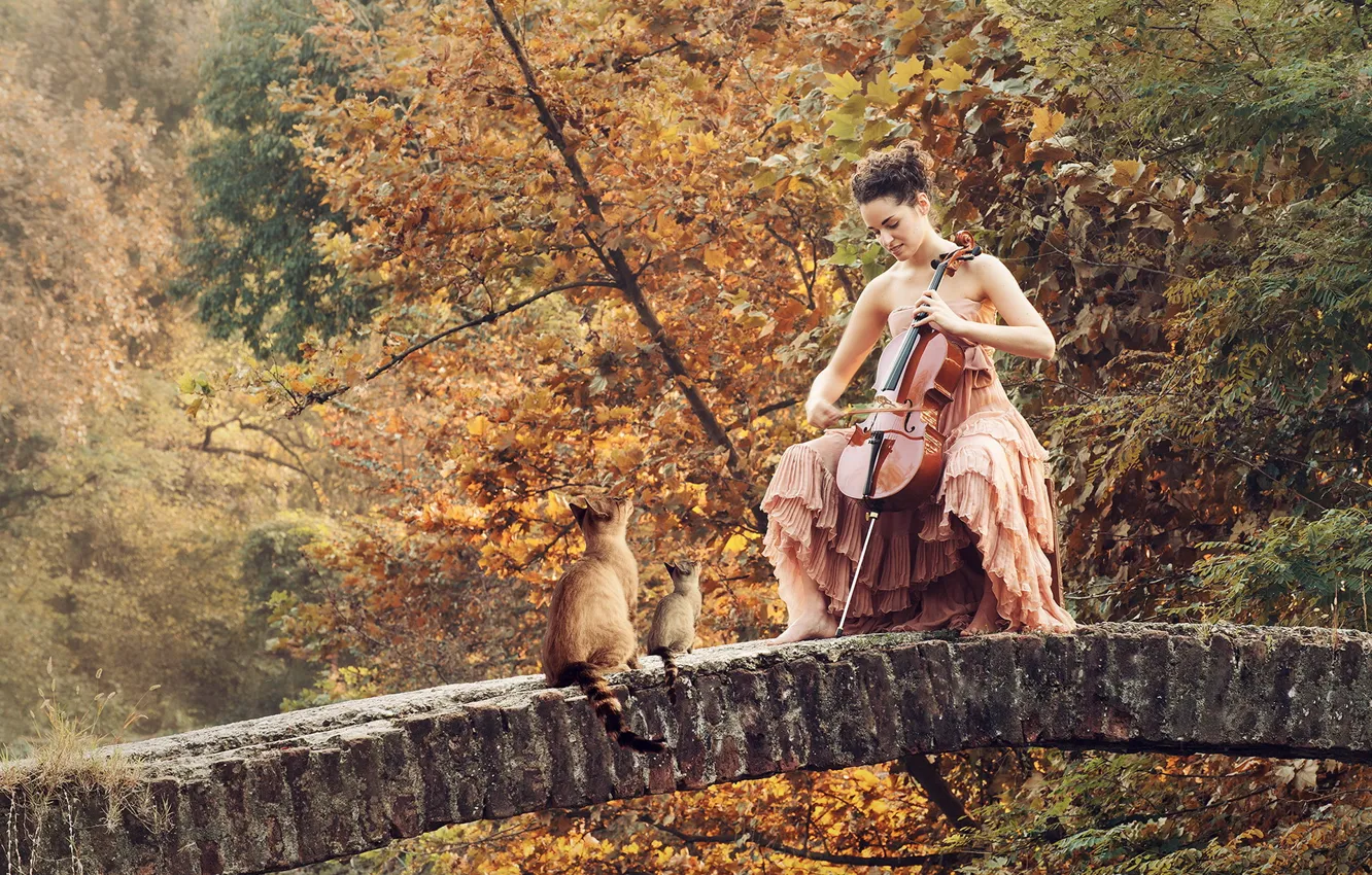 Photo wallpaper girl, cats, bridge, music