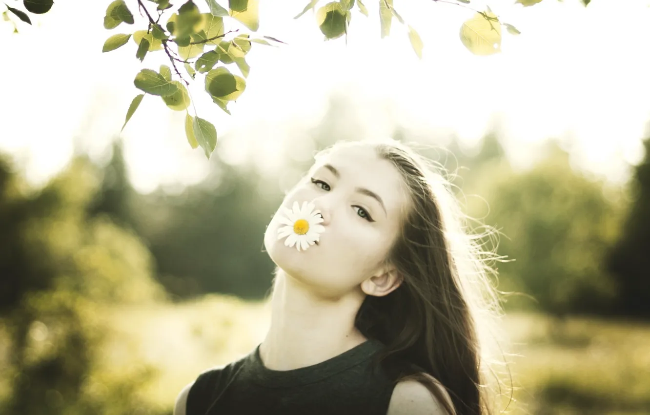 Photo wallpaper summer, girl, light, chamomile