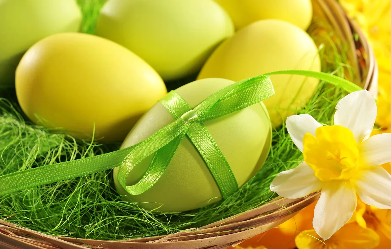 Photo wallpaper eggs, Easter, bow, easter, narices