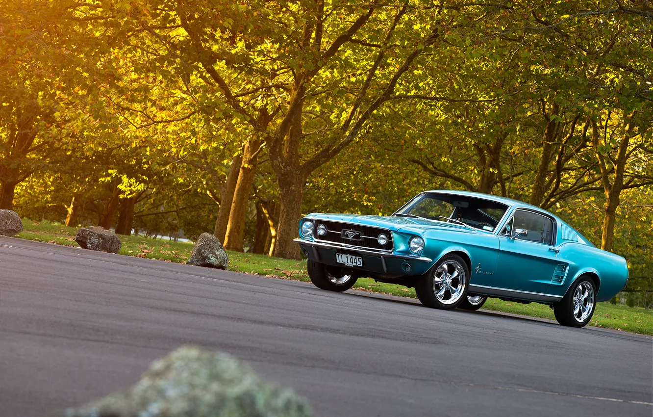 Photo wallpaper road, forest, Mustang, Ford, 1967, Fastback, side