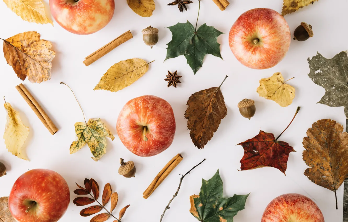 Photo wallpaper autumn, leaves, apples, fruit, acorns