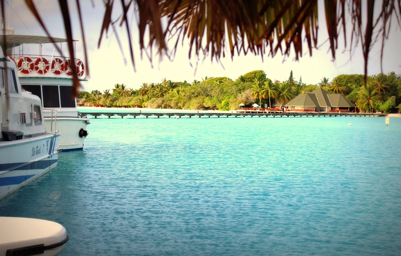 Photo wallpaper palm trees, pier, The Maldives, Laguna