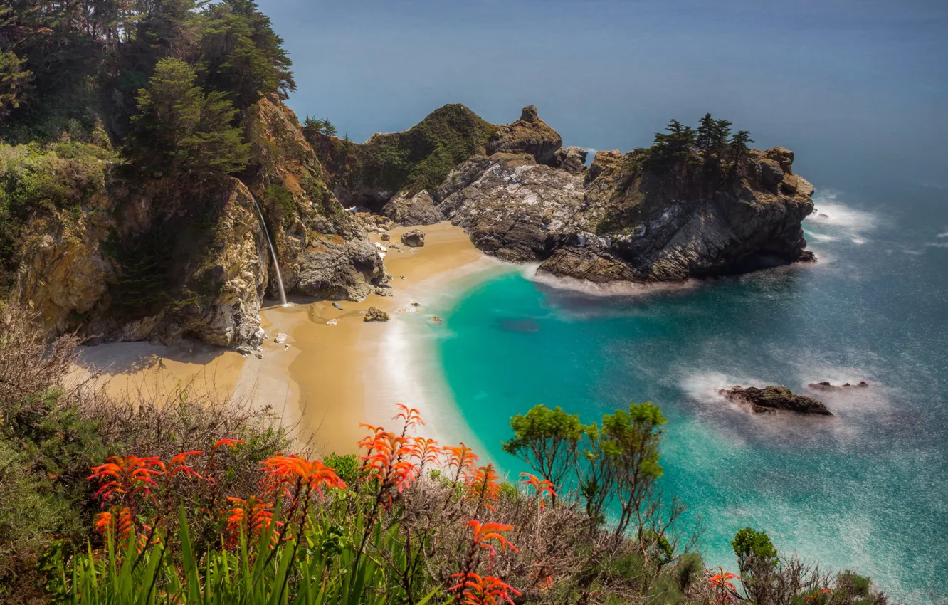 Photo wallpaper sand, sea, beach, summer, trees, flowers, orange, branches