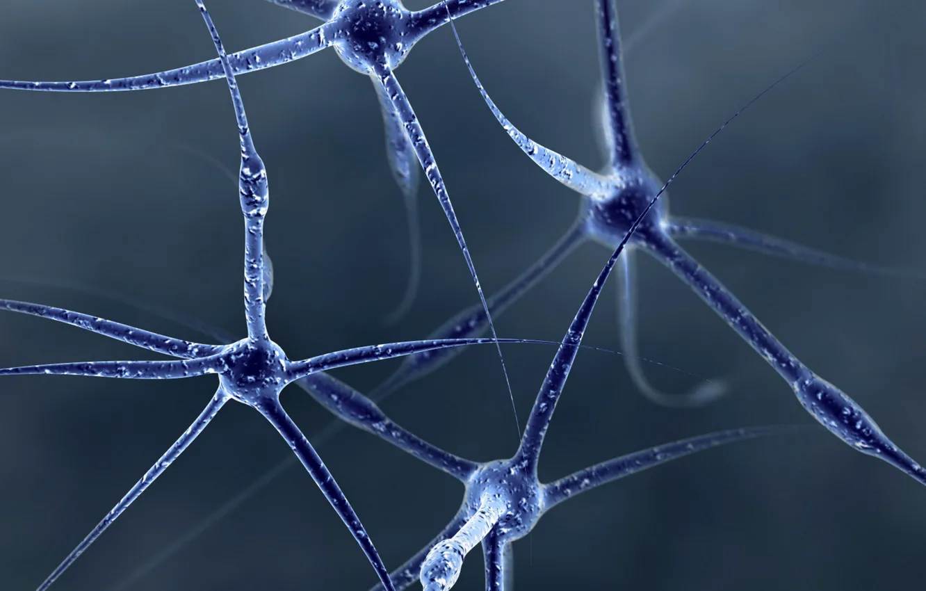 Photo wallpaper structure, neurons, molecules, connection, structure, atoms, atoms, molecules